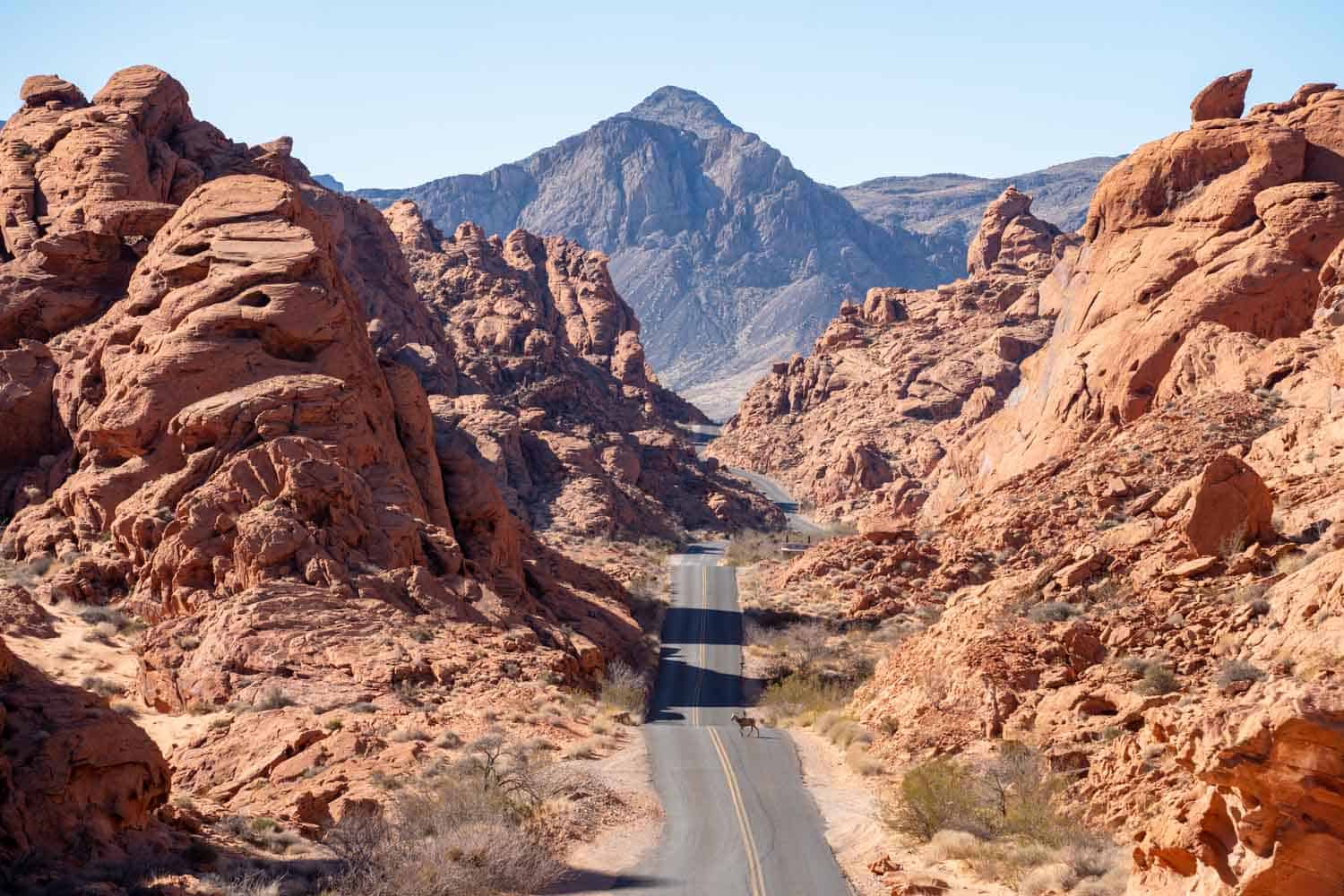 Mouse's Tank Road in Valley of Fire