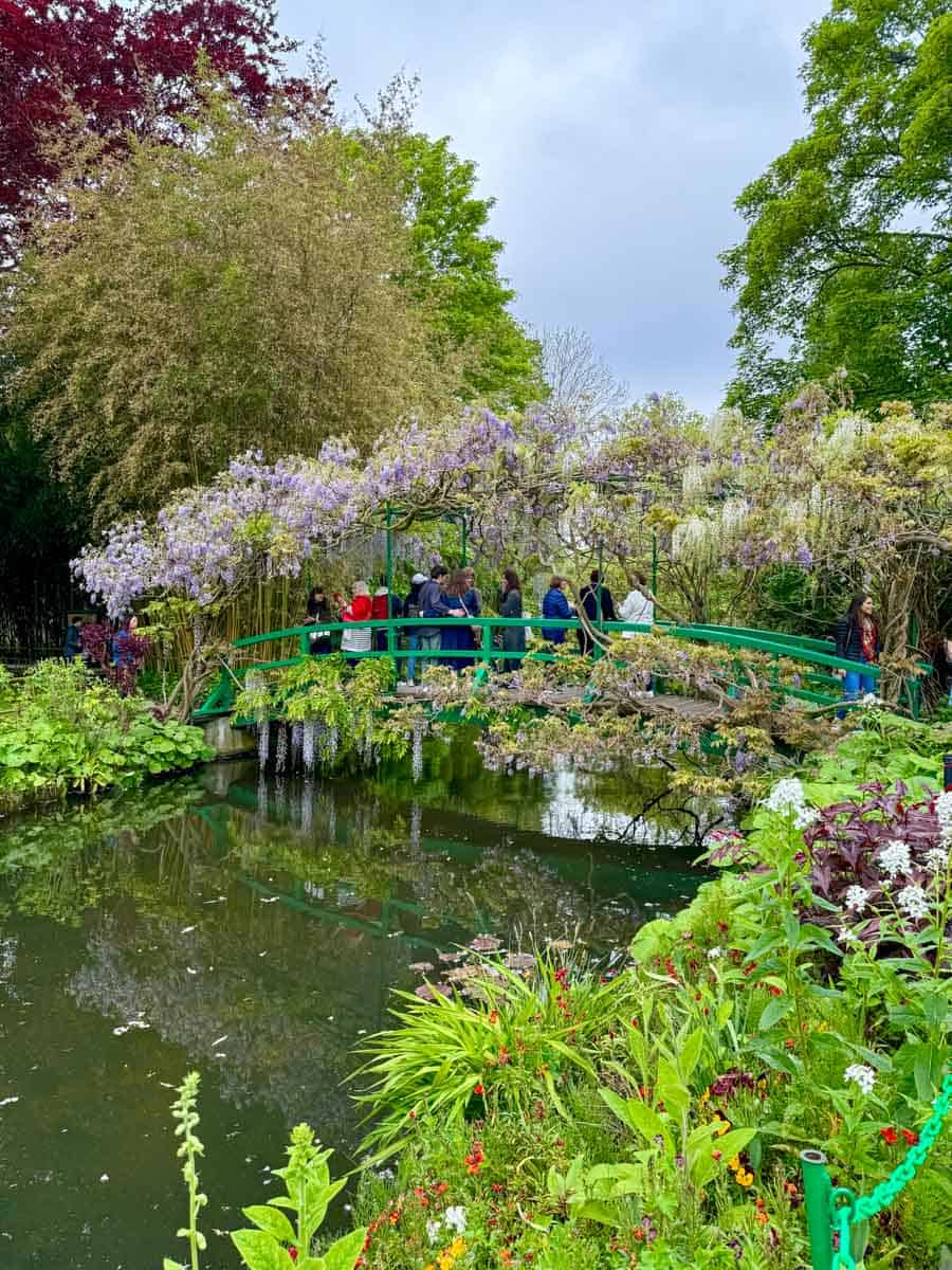 Wisteria blooming on a bridge above the water lily pond in Giverny