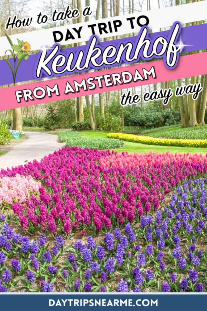 Day Trip to Keukenhof Flower Gardens from Amsterdam: Your Complete Keukenhof Guide