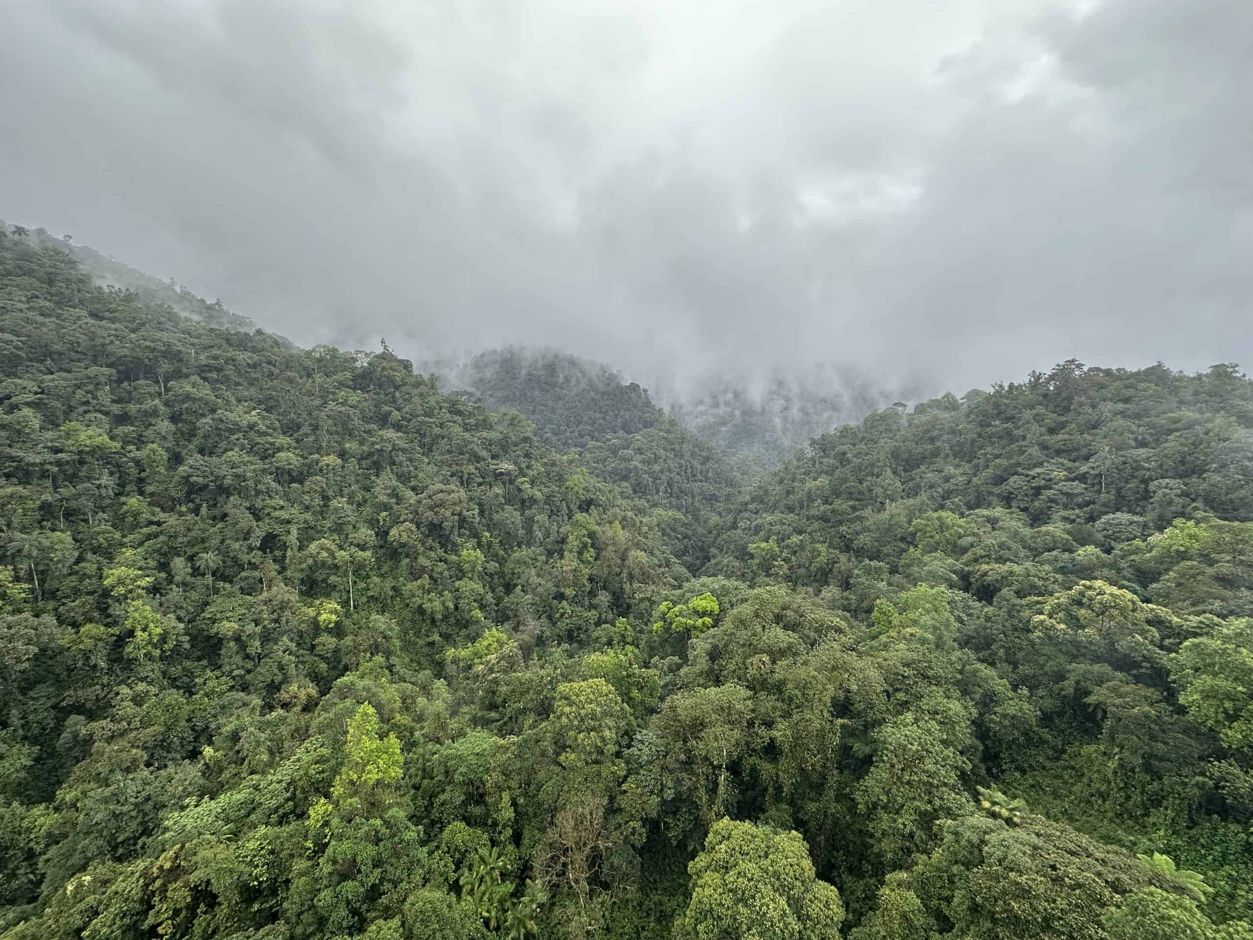 Mindo Cloud Forest in Ecuador