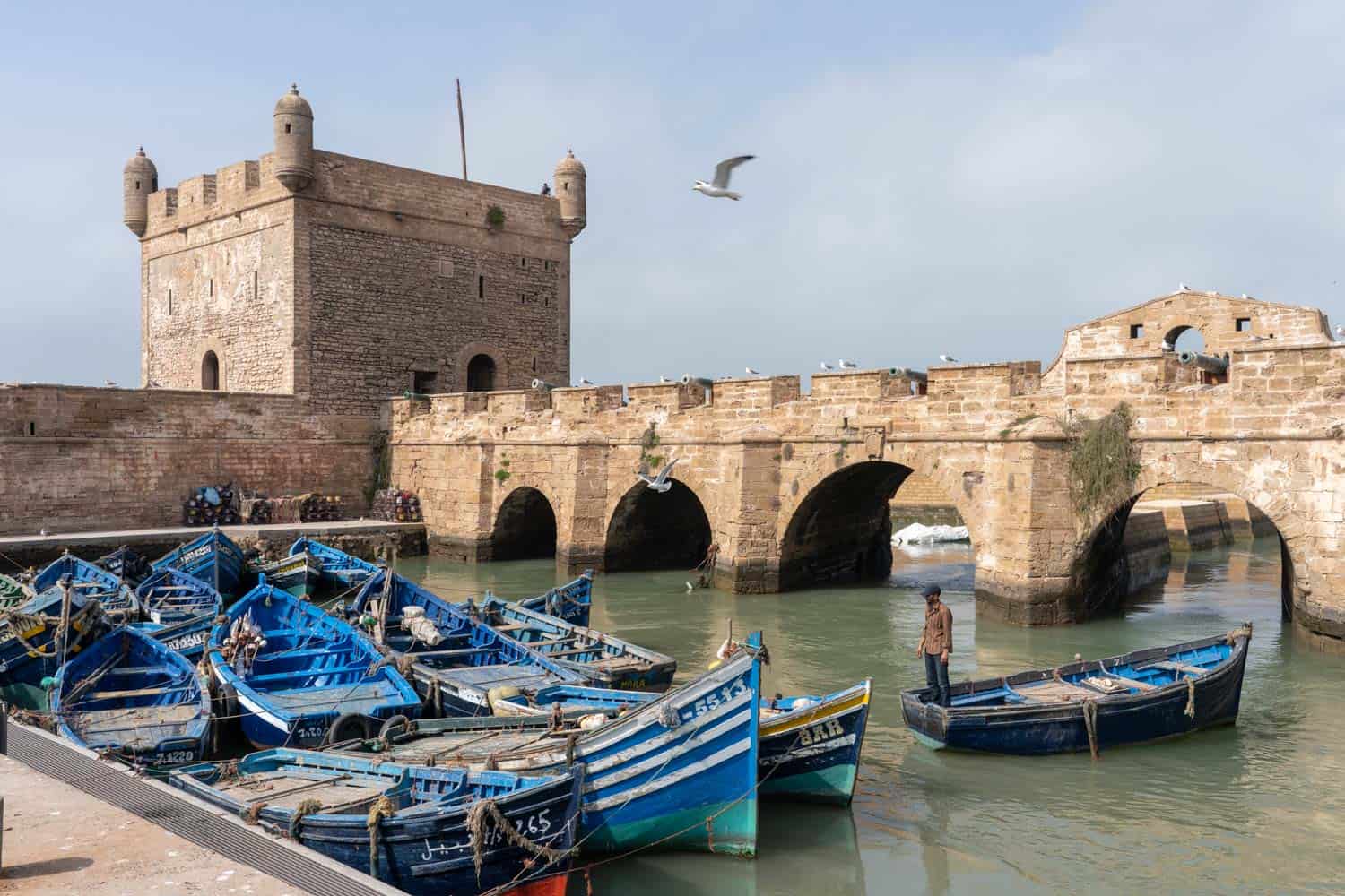 Blue boats in Essaouira | Day trips from Marrakech